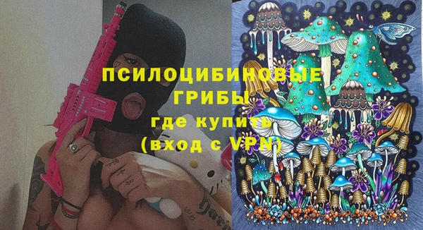 прущие грибы Арсеньев