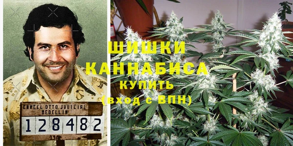 прущие грибы Арсеньев