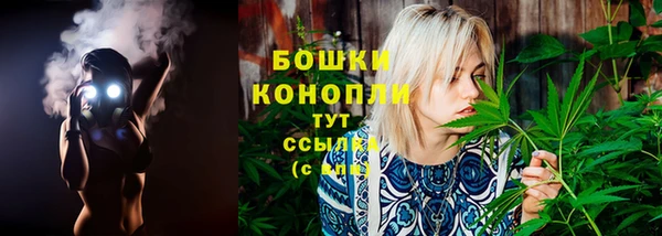 прущие грибы Арсеньев