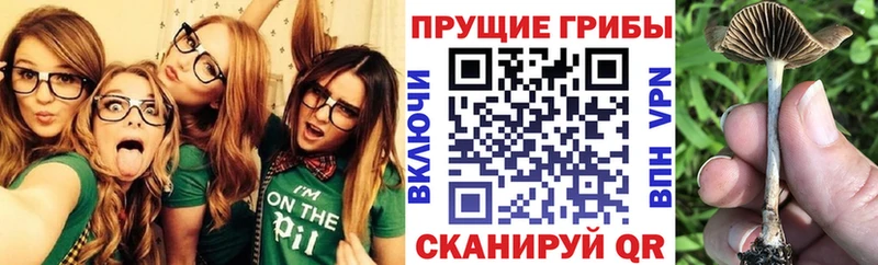 Галлюциногенные грибы ЛСД omg сайт Узловая где можно купить наркотик